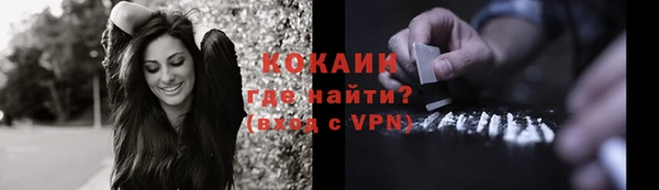 PSILOCYBIN Балабаново
