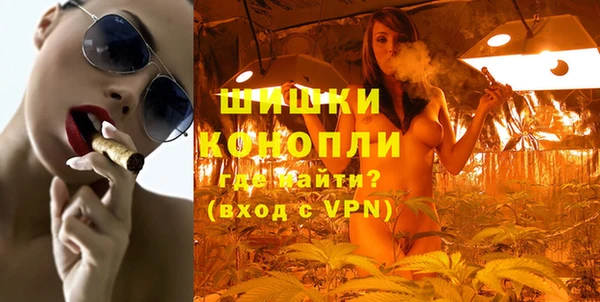 PSILOCYBIN Балабаново