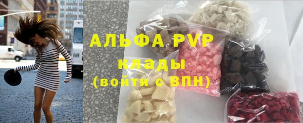 PSILOCYBIN Балабаново