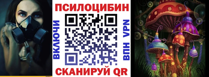 Псилоцибиновые грибы Psilocybe  купить закладку  Ликино-Дулёво 